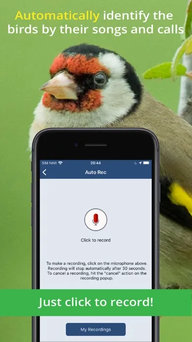 Bird Song Id UK Screenshots